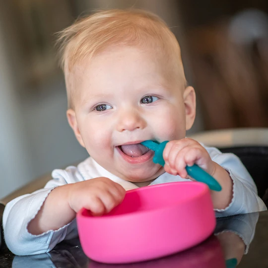 Solid feeding essentials for a 6 -12 months old baby 